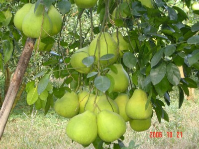 ����Ҙ���Ʒ�N������Ҙ������c(di��n)������Ҙ���r(ji��)