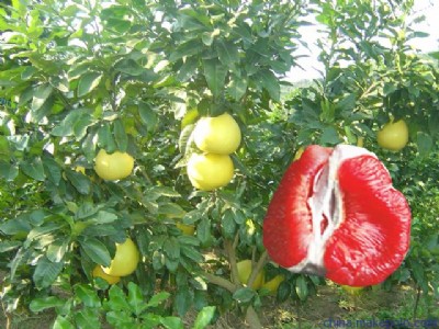 �ຣ�t��������������ຣ�t��������Ʒ�N