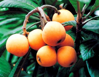 ���C�����������繩�������C���������������l�����C������������