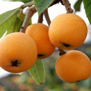 ����������������a�������������������繩��������������������