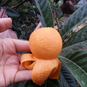 �ѻ����˘��繩�����ѻ����˘������l���ѻ����˘������