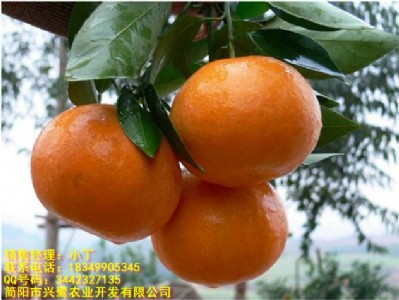 ������Ҋ�����l��������Ҋ�����c��������Ҋ�����