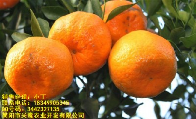 �Ĵ���������ۣ��Ĵ�������a(ch��n)�����Ĵ����������c(di��n)