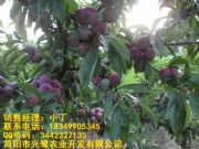 �ؑc�����������ُ���ؑc�����������࣬�ؑc���������ʩ��