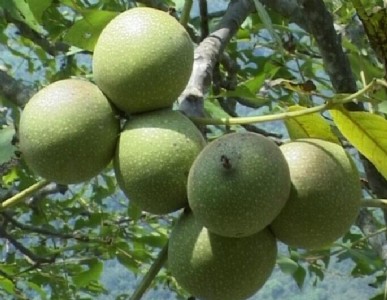 �V�����������a�����V����������繩��