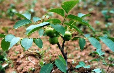 �������º���������� �������º�����a�����������º����繩��