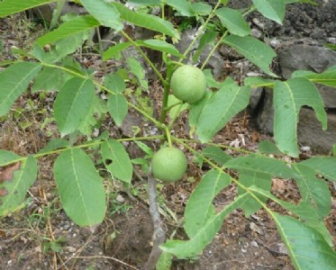 ���������繩�����������������l���������������