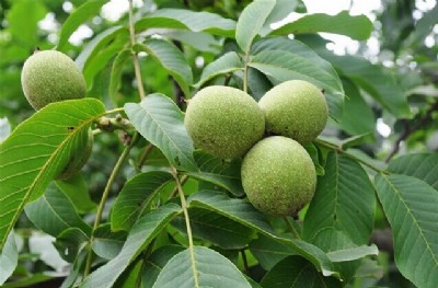 ���C��������أ����C������Ʒ�N�����C���������c