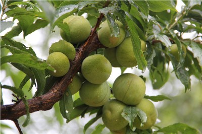 �ຣ�P�������繩�����ຣ�P�����������l