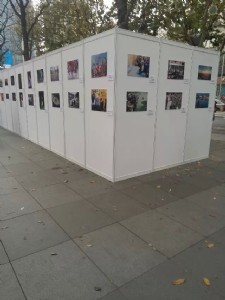 �V�|2016��M�b�˙z���������Lչ�ܣ����������Xչ��