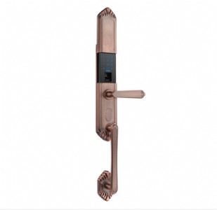 Ȫ������ָ�y�i�x������ָ�y�iʯ�{�F��ָ�y�i�ݰ����ָ�y�i