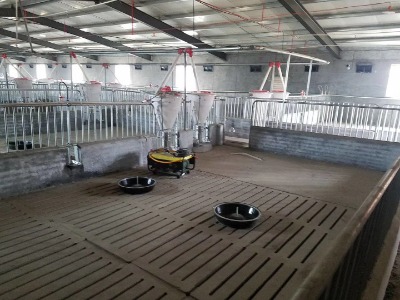 �u�� �i�������O��-�Ԅ��Ͼ�-����\����-�Ͼ�