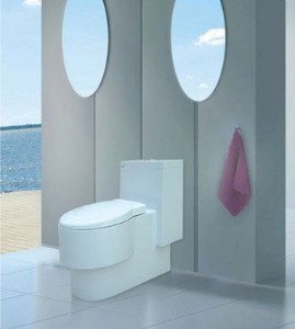 ���������lԡ�۾�����ʯ������XW-2