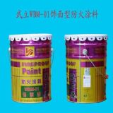 ����WBM-01����ͷ���Ϳ��