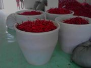 PE����ˮ��/�ؑc���σ�(ch��)��/�ؑcPE������(ch��)��