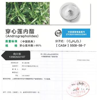 ����ɏ����