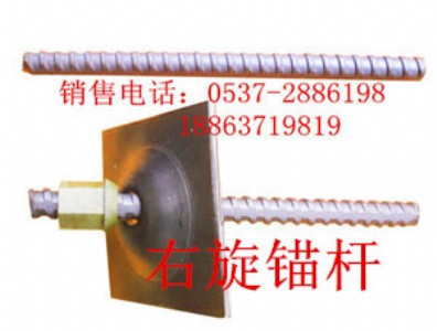 �V�������^�U  �����ȏ��ݼy��^�U  �����ݼy䓘�֬�^�U