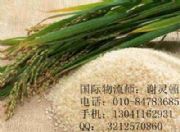 �����M�ڴ��״�����P����