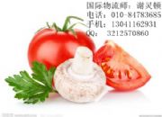 ���۵��߲��M�ڈ��P��