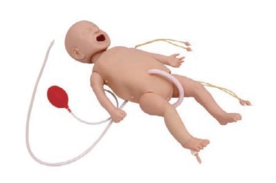 ϲ���[�¡����냺�ķΏ��Kģ�M��