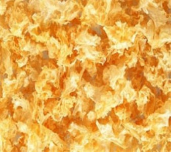 ľ�����y�����