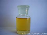 ������������(�D)