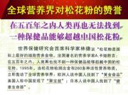 �V���������u���ݵć����ɻ��� �����ɻ�����ôُ�I���χ����ɻ���