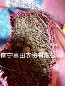 ͩ��  �V��ͩ��  �ό�ͩ��  ����ͩ��