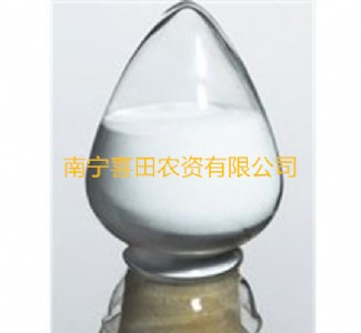 �����V  ���������V  �V�������V