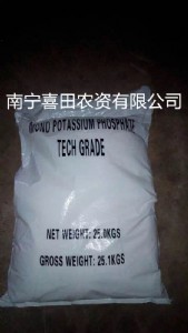 �F����������  �ό���������  ������������