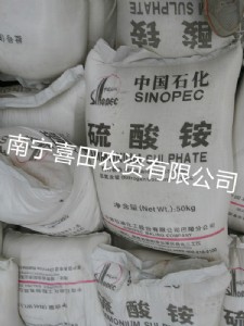 �����@ �V�������@  �ό������@  ���������@