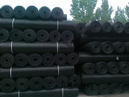 �B�T������������Ź�����