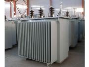 ׃����S11-50/1010/0.4KV