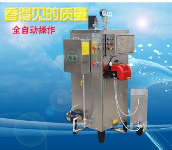 ���80kgȼ��偠t������ʽС�ͼ״����P䓹��I偠t