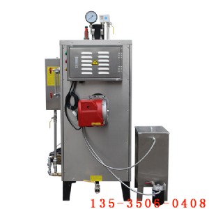 ���30kgȼ��偠t����С�͹��I���P���ʽ����偠t