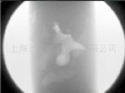 �o�p̽���z�y�x