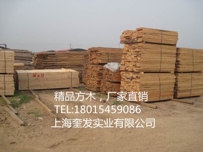 ����ľ�����l(f��)