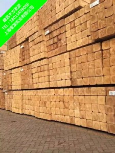 ����ľ����Ʒľ��ݗ����ľ��