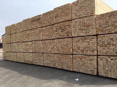 ľ���ǹ���ľ������ľ���S�ҹ���