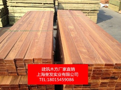 ���l����ľ������ľ���}��