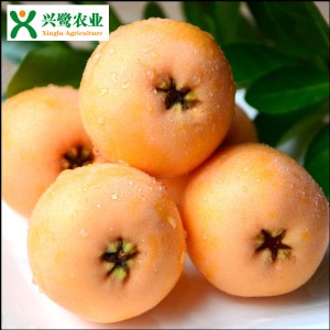 �ؑc�����繩��������Ʒ�N�r�񣬹�������