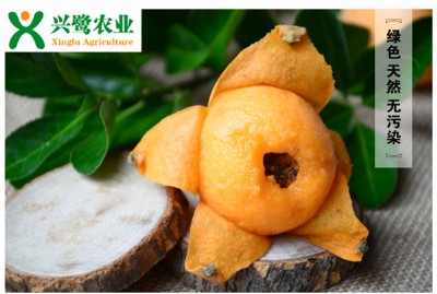 �ؑc������޽ӣ��������Nֲ���޼������أ��r(ji��)��Ʒ�N