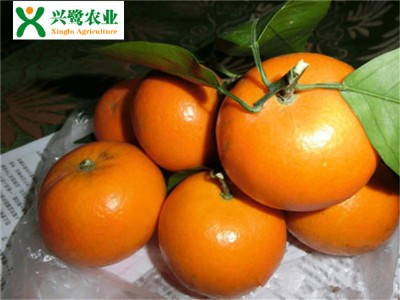 �ؑc��������أ��ؑc������޽ӣ��ؑc������r(ji��)��