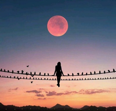 �ϲ����u(y��)�û��