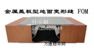 ���潨��׃�οp����s�pFOM�X�Ͻ�����w����