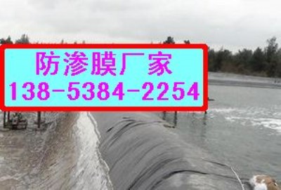 ����������������BĤ�������������ʩ��