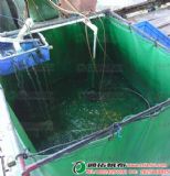 ����ˮ�� �����~�� �����Bֳ�� ������Ӿ�� �����~�؉���