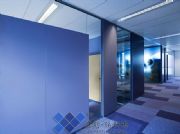 �B�T�����p�����匍�w��(�D)