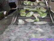 �ӱ�304���P��͸ߜؽ��پW(w��ng)���͎��S��