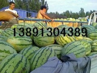 ������σr������������l(f��)�������Ϯa(ch��n)�ػ��r(n��ng)�������l(f��)